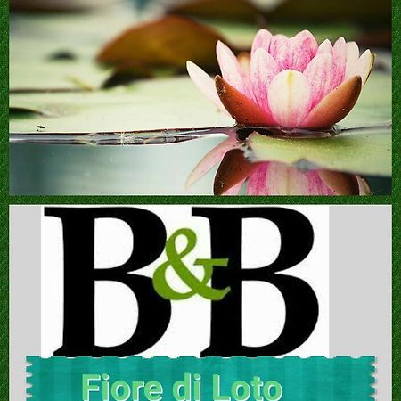 Fiore Di Loto Limatola Zewnętrze zdjęcie